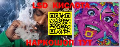 шишки Партизанск