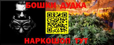 шишки Партизанск