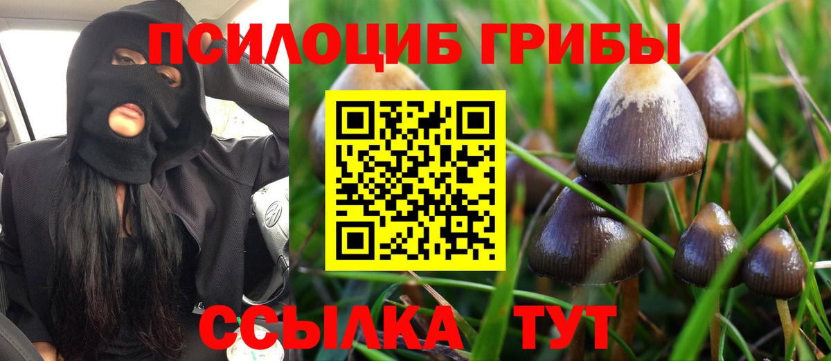 Галлюциногенные грибы мицелий Самара